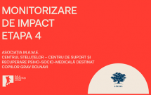 Monitorizare de Impact – Etapa 4 // Centrul Steluțelor