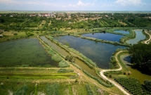 WWF-CEE și Fundația Coca-Cola anunță extinderea parteneriatului lor și continuă să colaboreze pentru a crește rezistența la schimbările climatice și starea de sănătate a bazinului hidrografic al Dunării