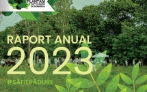 Plantăm fapte bune în România - 700.000 de puieți plantați în 2023