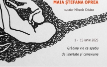 R(a)ise th'eM / Maia Ștefana Oprea