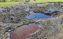 „Aurul negru” din Beciu devine atracție turistică: Izvoare naturale de petrol, transformate în destinație de explorat în Geoparcul UNESCO Ținutul Buzăului