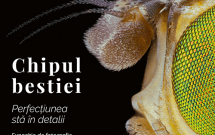 Muzeul Antipa deschide expoziția „Chipul bestiei. Perfecțiunea stă în detalii” – o incursiune spectaculoasă în lumea ascunsă a insectelor
