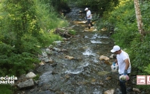 Proiectul Refresh Moieciu 5.0 a mobilizat 73 de voluntari pentru ecologizarea râurilor Stăncioiu și Turcu din județul Brașov