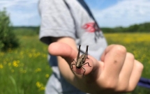 Colinele Transilvaniei a lansat proiectul „Educație cu vedere la natură”,  un pas esențial pentru reconectarea oamenilor cu natura