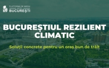 Fundația Comunitară București: Capitala are nevoie urgentă de o strategie de reziliență climatică.