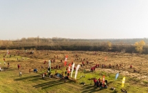 Pădurea Prieteniei - un concept nou în România: partenerii Kaufland uniți într-un gest comun pentru natură