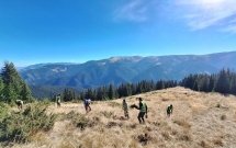 Câteva păduri din Munții Făgăraș devin un model european de reconstrucție ecologică: rezultatele proiectului SUPERB în România