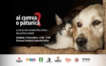 Mobilizare majoră la Iași pentru animalele din padocuri – cel mai mare eveniment caritabil pentru prietenii blănoși are loc pe 13 decembrie