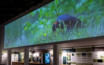 Parcul Natural Vânători Neamț, deschis pentru Școala Altfel timp de 365 de zile pe an