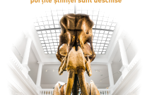 Muzeul Antipa celebrează Ziua Culturii Naționale cu intrare gratuită la expoziția de tarantule vii și treasure hunt-ul „Poezia Naturii”