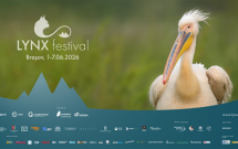 Natura este vedetă de cinema la a patra ediție LYNX Festival: Brașov 1-7 iunie!
