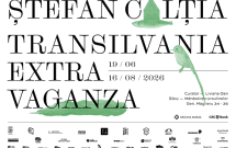 Cea mai amplă expoziție dedicată lui Ștefan Câlția se deschide la Sibiu: „Transilvania | Extravaganza”