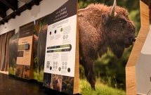 Centrul de Vizitare din Parcul Natural Vânători Neamț își dezvoltă expoziția interactivă