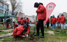 Educație prin sustenabilitate: Mega Image plantează 12.000 de copaci în București și Ilfov, alături de 86 de școli