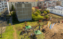 Noi intervenții pentru biodiversitate în Timișoara: 2 mini-păduri urbane și 450 mp de pajiște pe malurile Begăi