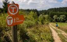 MedLife devine partener de sănătate și wellbeing în proiectul Via Transilvanica, „drumul care unește”