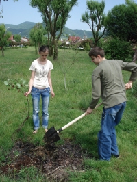 2010 ANUL INTERNATIONAL AL BIODIVERSITATII