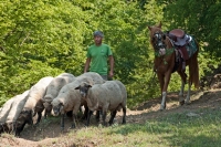 Calare in Carpati - ecoturism ecvestru in sprijinul comunitatilor