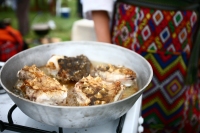 D'ale Gurii Dunarii - Festival Gastronomic si Etnocultural