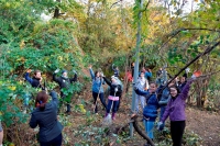 Curatenia de Toamna in Gradina Botanica