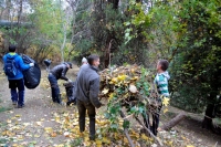 Curatenia de Toamna in Gradina Botanica