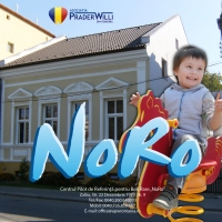 Parteneriat Norvegiano-Roman (NoRo) pentru Progres in Bolile Rare