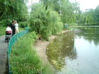 Locuitorii cartierului Lacul Tei lupta pentru Parcul Circului