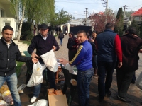 Burse de studiu pentru comunitatea roma defavorizata, originara din Toflea si Brahasesti