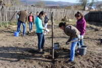 Agricultura durabila in zone defavorizate ale Romaniei: Conservarea si valorificarea soiurilor de fructe