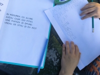 Școli cu scLipici