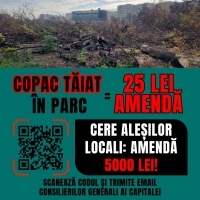 Campania civică pentru majorarea amenzilor la tăierea ilegală a copacilor din București