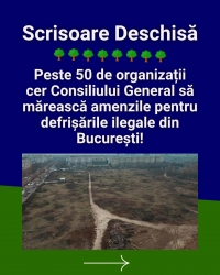 Campania civică pentru majorarea amenzilor la tăierea ilegală a copacilor din București