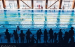 Swimathon, competitia de strangere de fonduri prin inot, a adunat peste 168.000 de lei